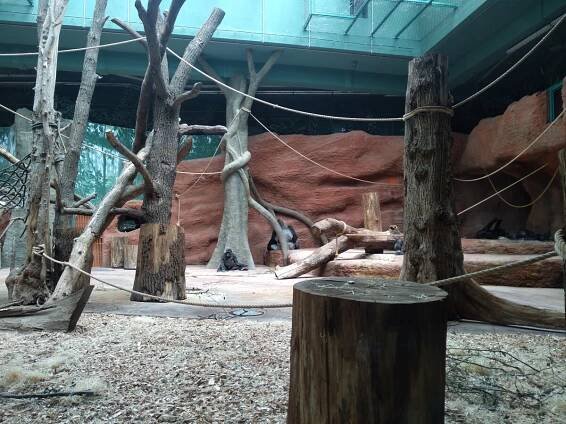 Zoo Praha