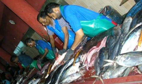 Rybí trh v Malé