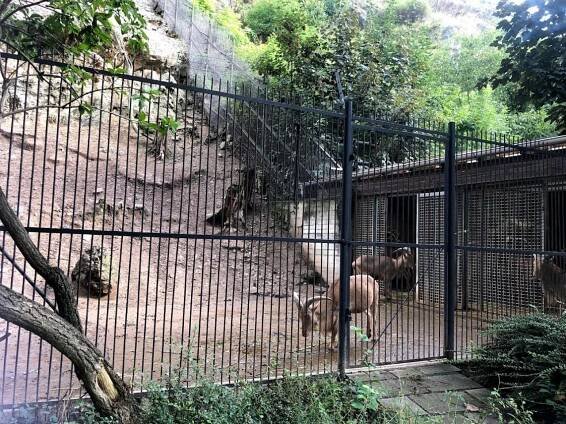 ZOO Praha - Oficiální stránky obce Třebčice