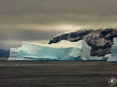 Antarktický poloostrov nabízí ekosystém překypující životem