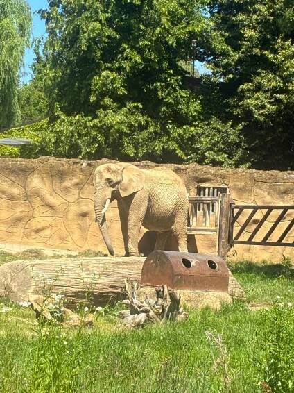 Safari park Dvůr Králové – Základní škola