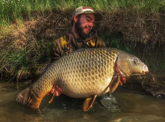 Lov kaprů | MV Fishing.cz