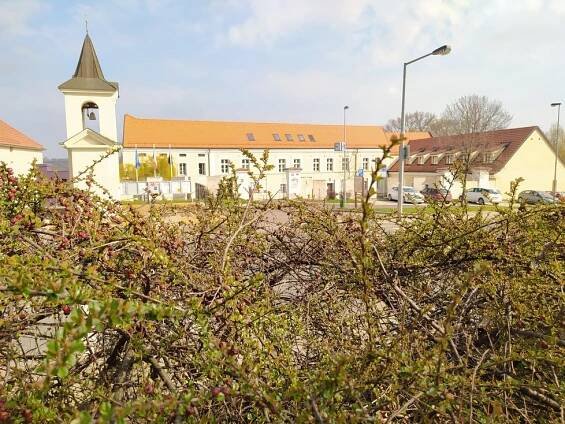 Dolní Chabry nejsou dole! Jaká je historie severní městské části Prahy? Bývaly tu lesy a rybníky