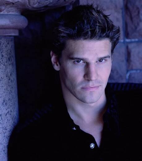 Foto k tématu David Boreanaz – stránka 16