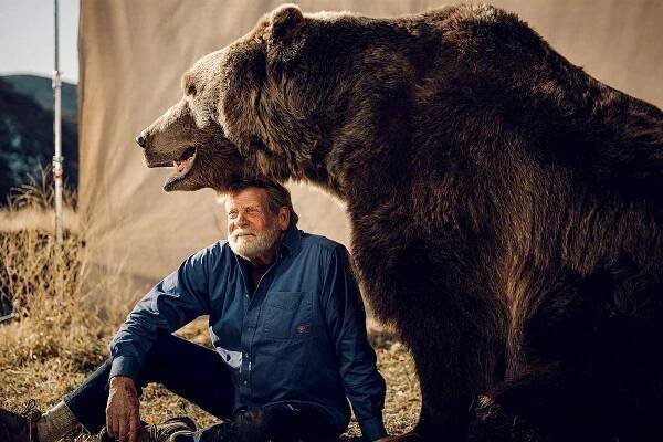 Bart the Bear II, Actor and Cancer Spokesbear, Has Died