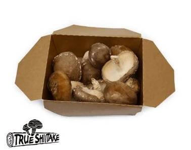 Shiitake čerstvé houby 200g - ZeleninaDomu.cz