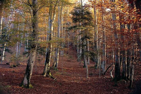 VACATION PACKAGE: Spring in Bolzano
