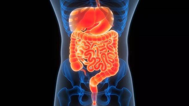 Appendix cancer is on the rise (Getty stock images)