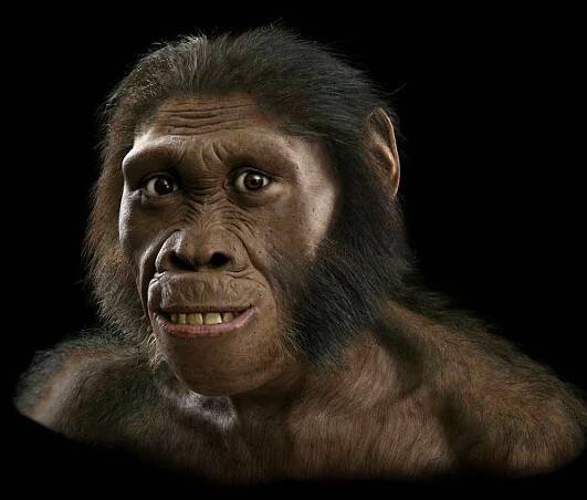 Přečtěte si o původu a evoluci primátů