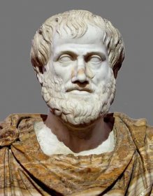 aristotle marble bust