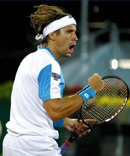David Ferrer