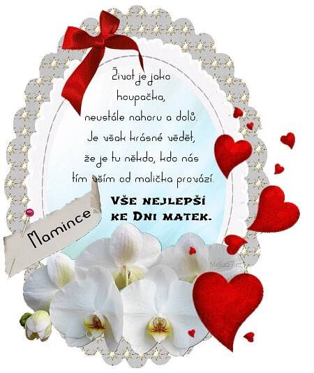 prani_k_svatku_matek_2