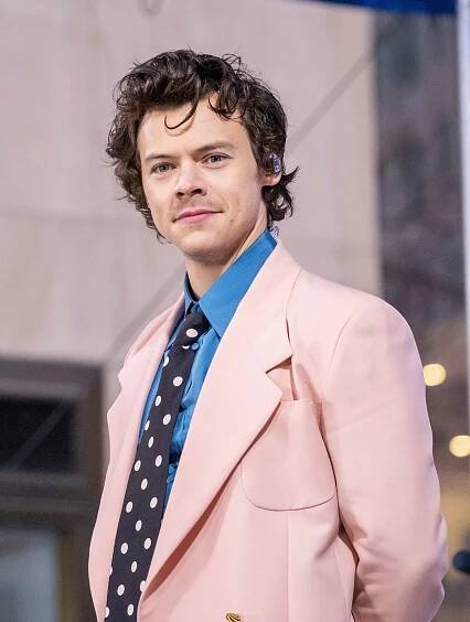 Harry Styles' Most Romantic Moments During Live Concerts
