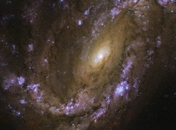NGC 4051