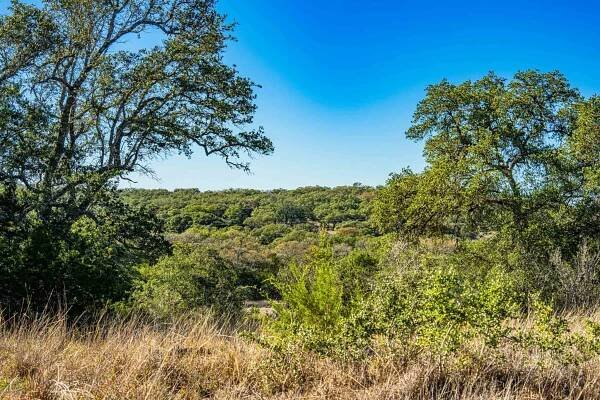 Kendall County | Black Creek Ranch | E of Boerne | Texas Ranches For Sale