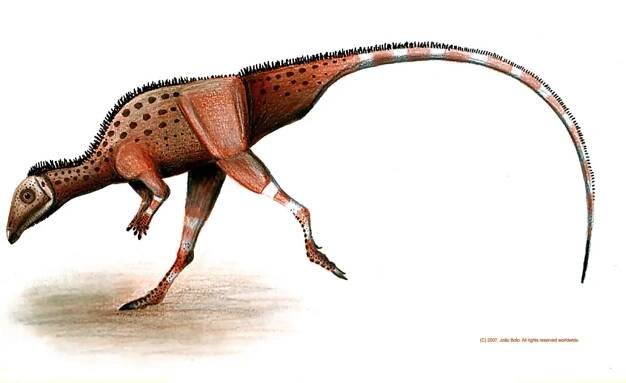 Grafiken und Illustrationen von João Boto - Dinodata.de