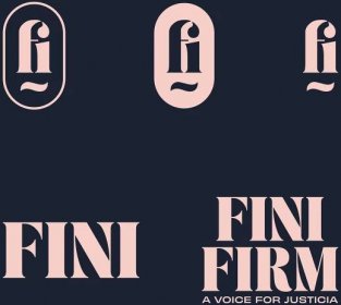 Fini Law Firm Case Study