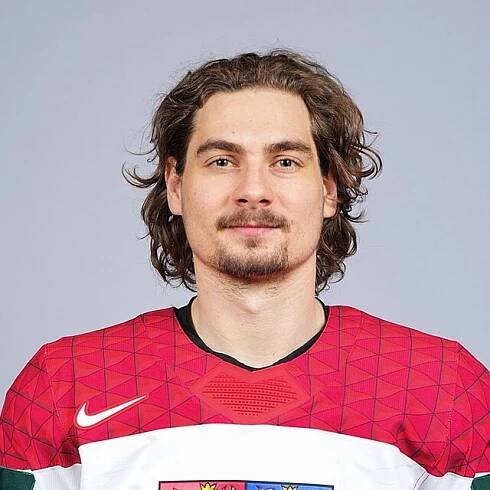 David Tomášek - Hokej - iDNES.cz