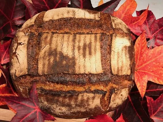 Gofiobrot
