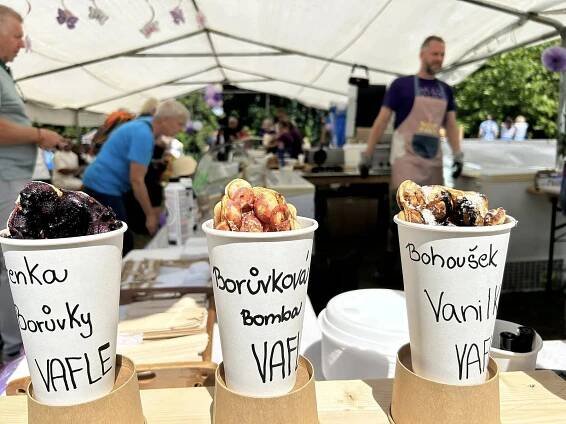 Borovany voněly po borůvkách. Omamné aroma přilákalo tisíce milovníků ovoce