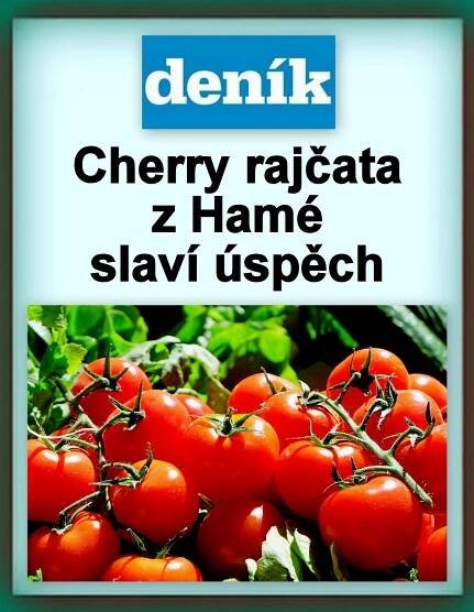 DENÍK: Cherry rajčata z Hané slaví úspěch. V plánu je další obří skleníkZa krásnější Vimperk