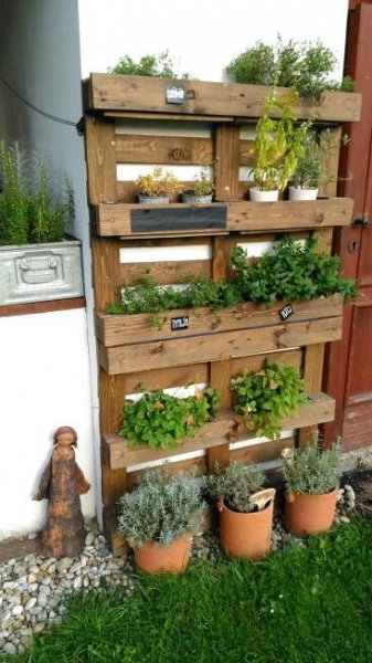 a wooden shelf filled with potted plants next to a fire hydrant and door