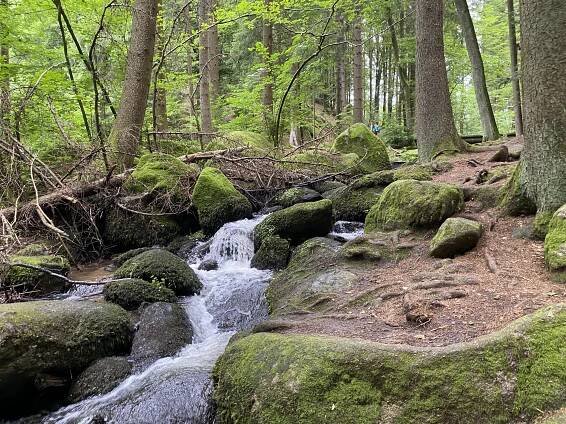 Goldsteig Trail – Neunburg vorm Wald > Sankt Englmar – Klimas