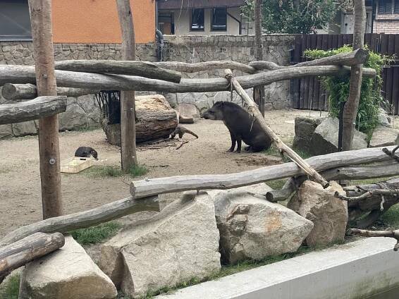 Zoologická a botanická zahrada Liberec | Slevomat.cz