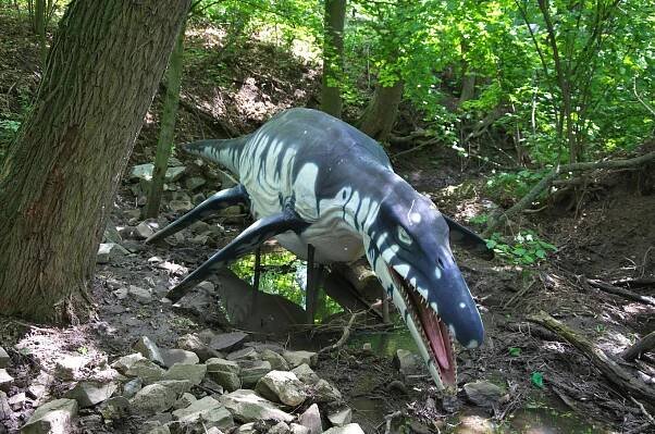 Liopleurodon
