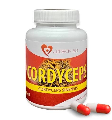 Cordyceps Sinensis - 90 kapsúl (30% polysacharid) – Uzdrav sa