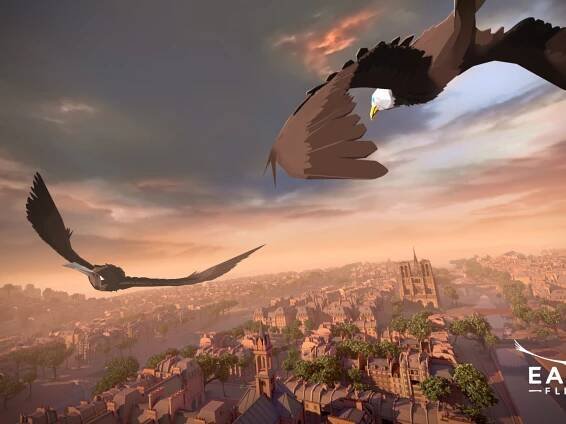 Eagle Flight