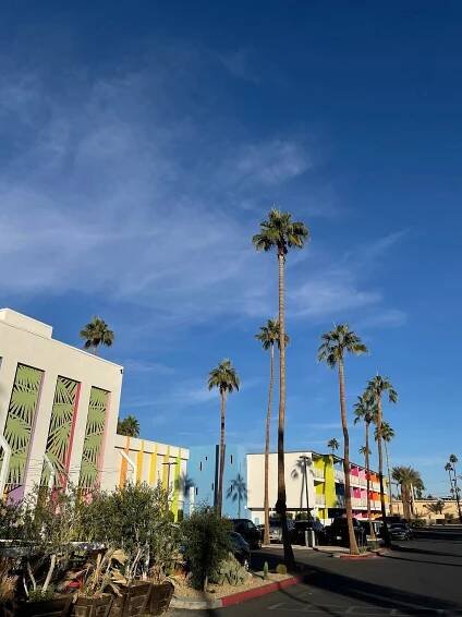 The Saguaro Palm Springs Concierge: Pictures & Reviews - Tripadvisor