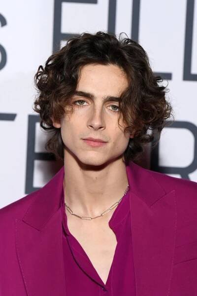 a young man with curly hair wearing a purple suit and diamond necklace at an event