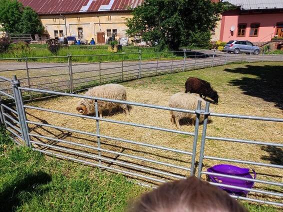 Jarošův statek Studénka - MŠ Barevný svět