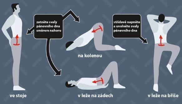 Ukázka cvičení
