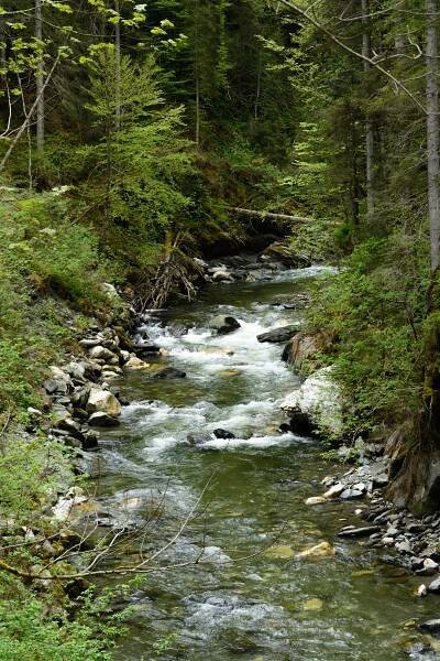 Donnersbach (Enns)
