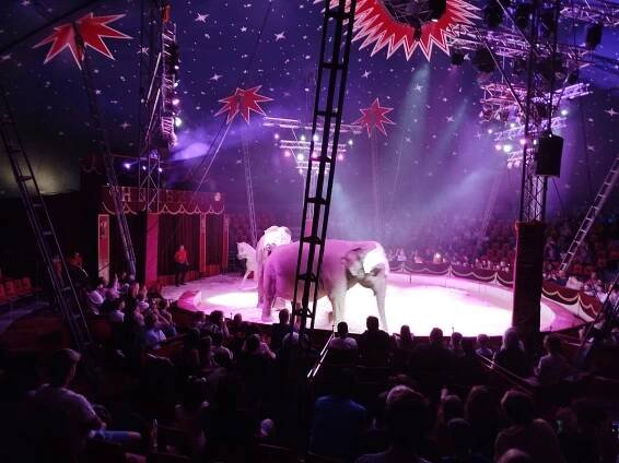 Cirkus HUMBERTO 2025 – Dětský domov a Školní jídelna, Opava, Rybí trh 14, příspěvková organizace