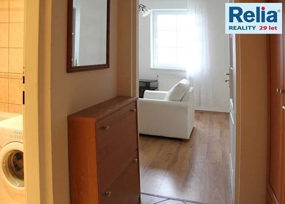 Pronájem vybaveného bytu 1+kk, 30 m2