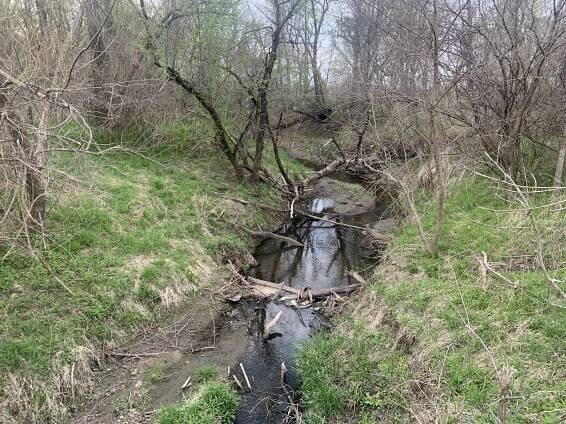 Wolf Creek (Nodaway River tributary)