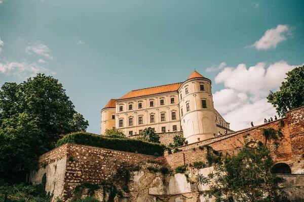 PŘÁTELÉ - vinný sklep, pronájem chalupy Drnholec - ubytování Jižní Morava, 12026