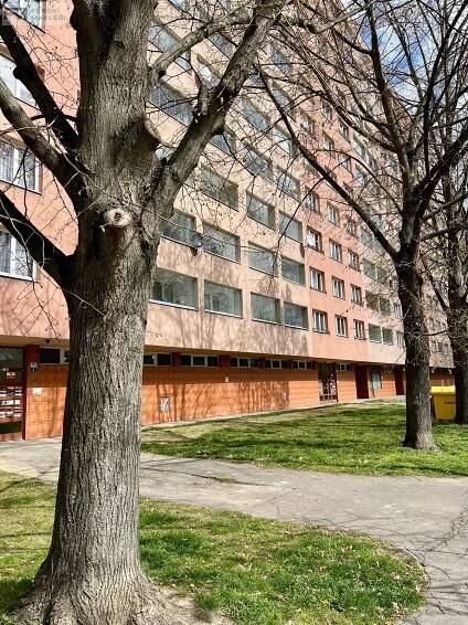 Pronájem Byt 1+1, Dr. Martínka, Ostrava - Hrabůvka