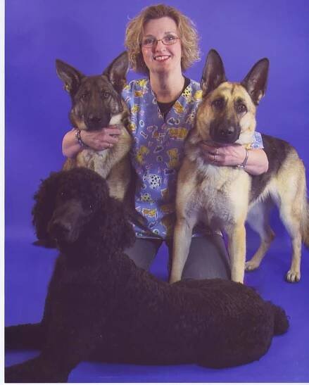 Training - WestInn Kennels | Missouri