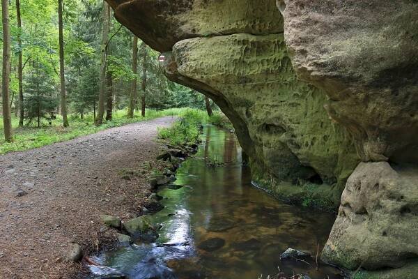 Aktuálně | Euroregion Elbe/Labe