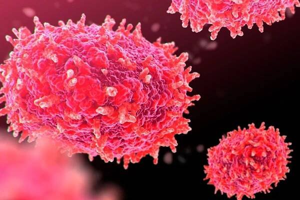 Mpox (previously monkeypox) virus particles, illustration