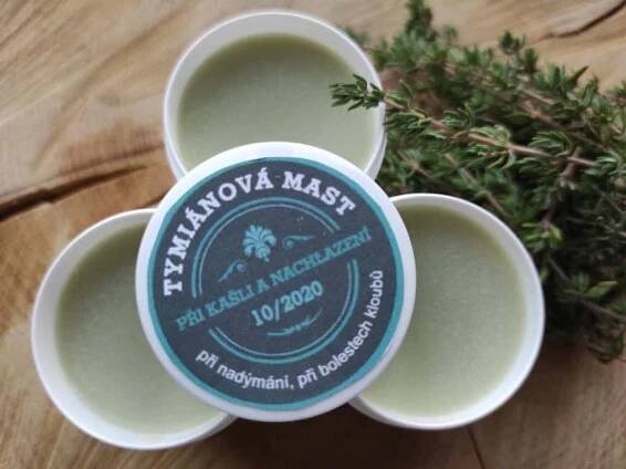 Tymiánová mast – účinky a recept na domácí výrobu