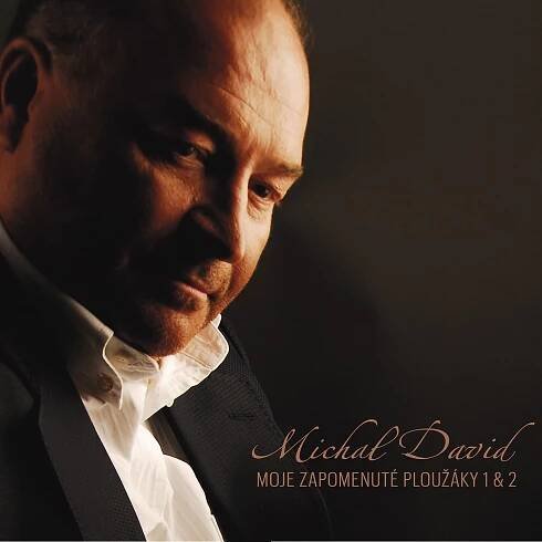 Moje zapomenuté ploužáky 1 & 2 - Michal David [2CD] od 421 Kč