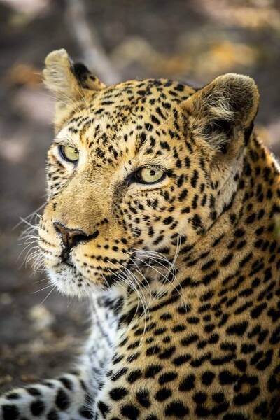 Nature - Colin Stephenson Photography