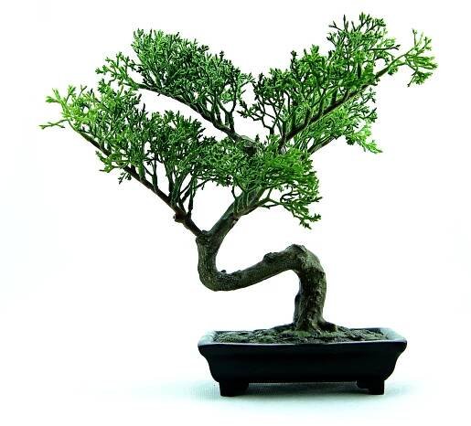 Go Green and Decorate the Baby Nursery with Plants