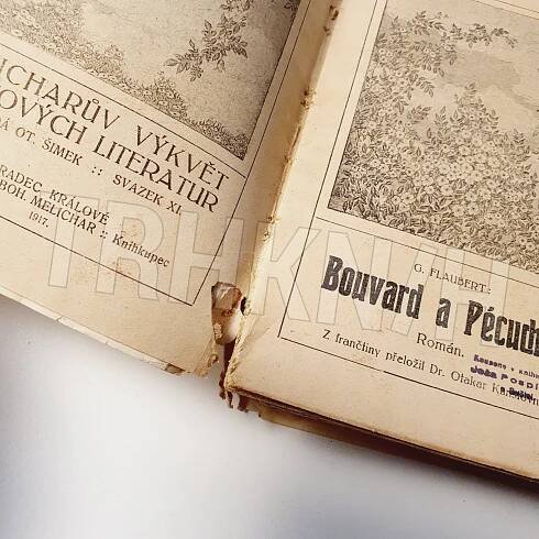 Kniha Bouvard a Pécuchet - román - Trh knih - online antikvariát