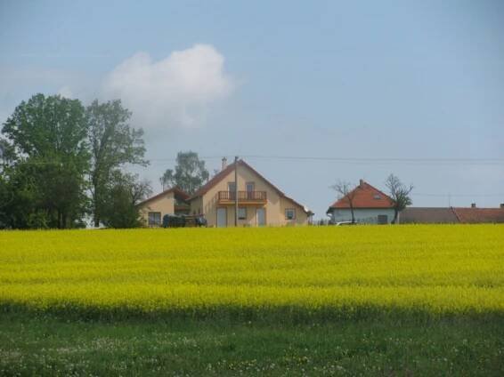 Drhovice - Živéobce.cz